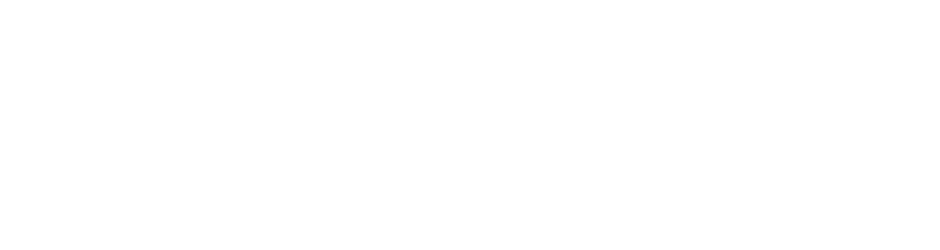 Junior Report